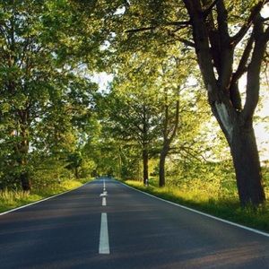 Meet your Posher, Noel